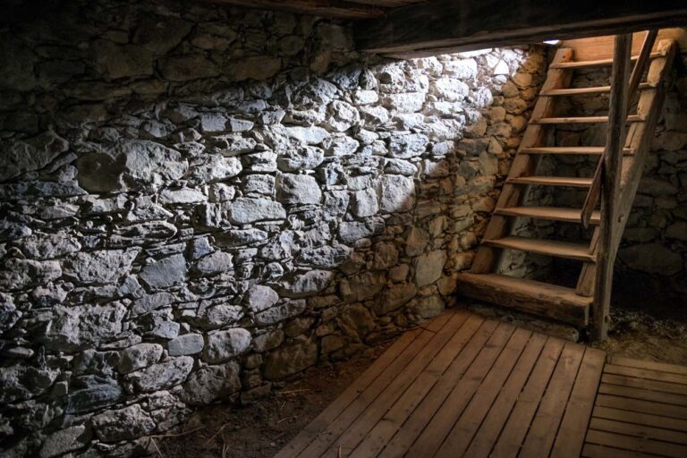 Cellar