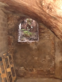 Holt Cellars Project