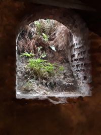 Holt Cellars Project